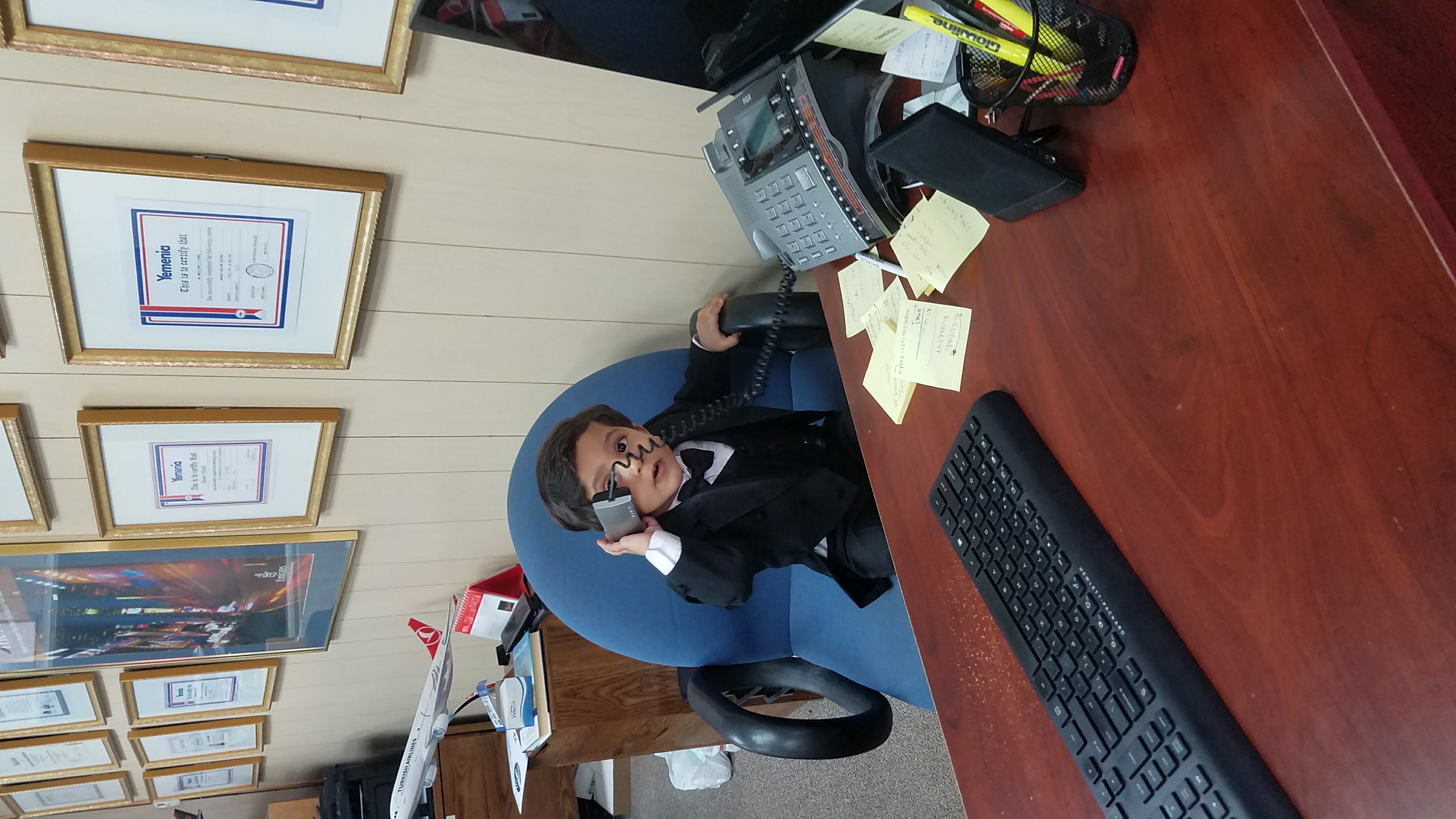 Owner at Skyview Travel Agency